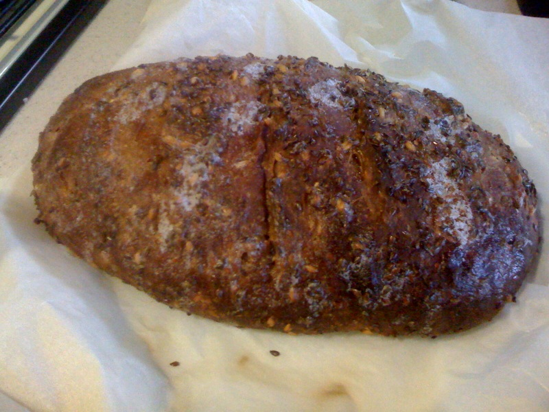 First loaf with Whole Wheat Berries The Fresh Loaf